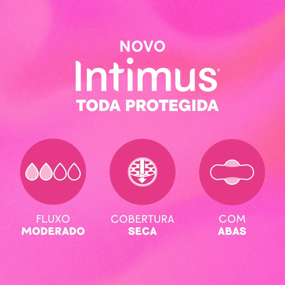 Absorvente Intimus Toda Protegida Dia Seca Com abas - 32 un — foto 8