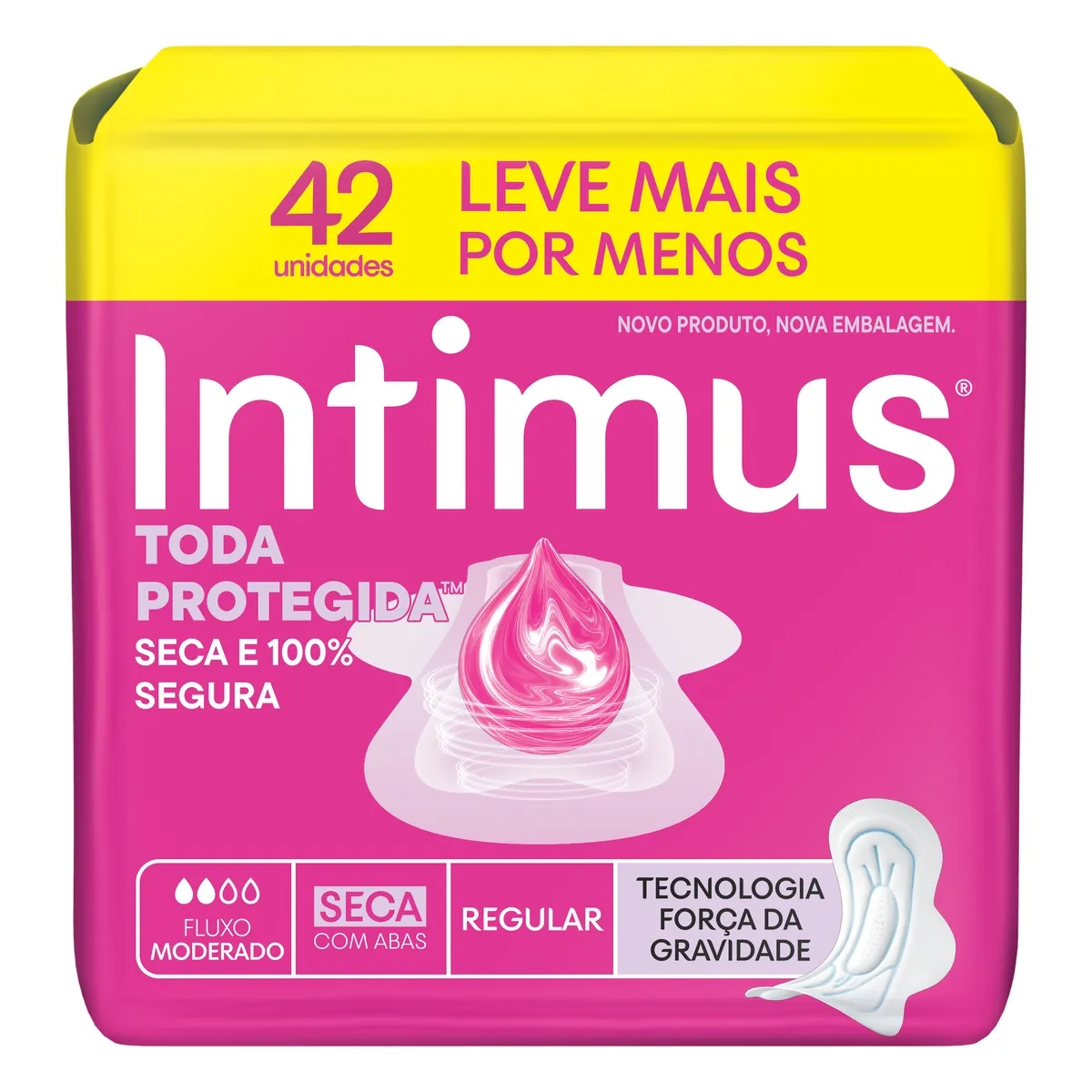 Absorvente Intimus Toda Protegida Dia Seca Com abas - 42 un
