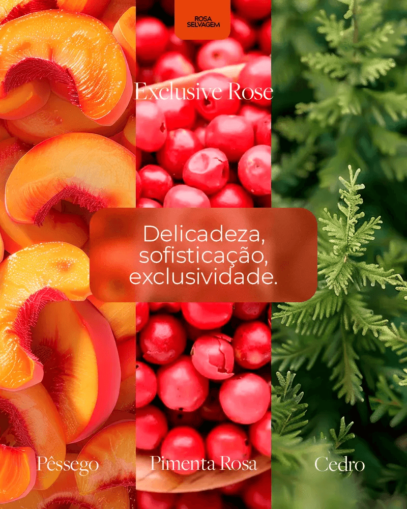 Body Splash Rosa Selvagem Exclusive Rose 200ml — foto 3