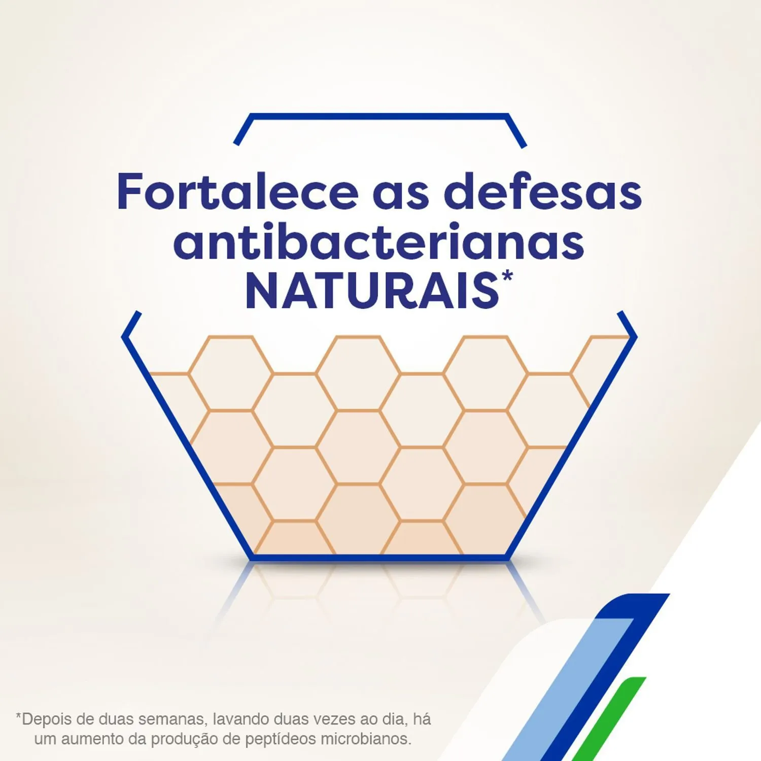 Sabonete Líquido Protex Antibacteriano Erva Doce 250ml — foto 11