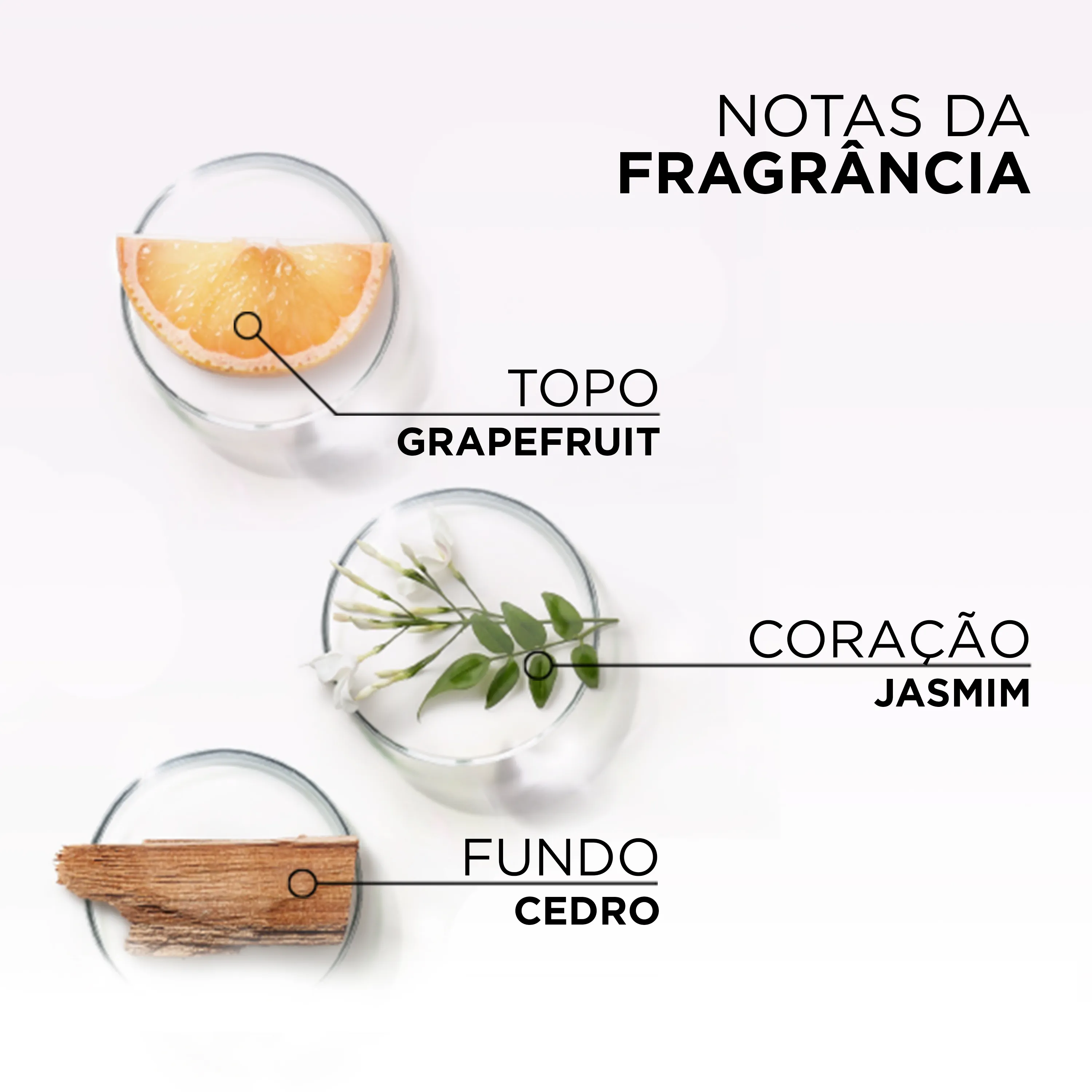 Shampoo Elseve Glycolic Gloss Extra Gloss 200ml — foto 7