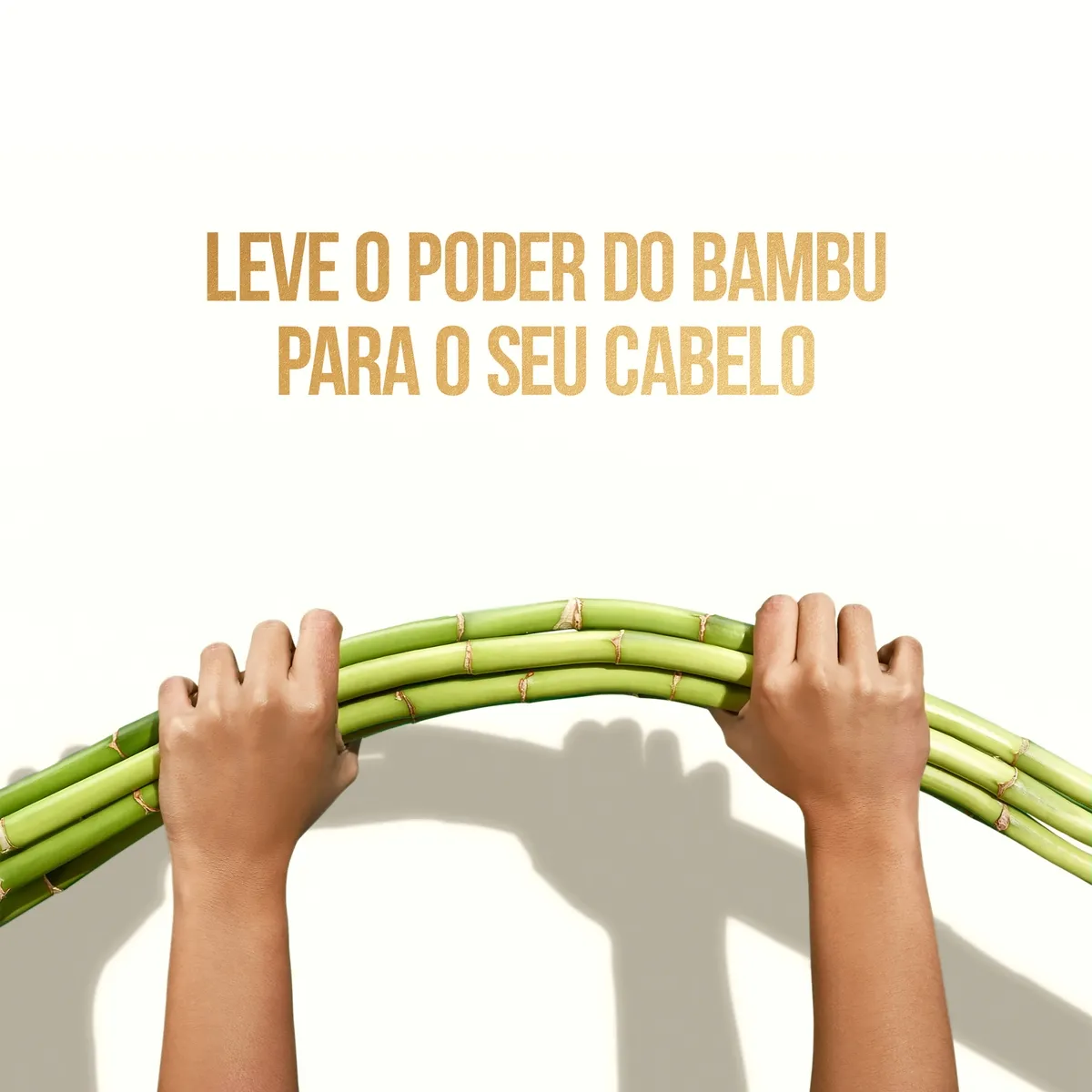 Shampoo Pantene Bambu Nutre Cresce 510ml — foto 3