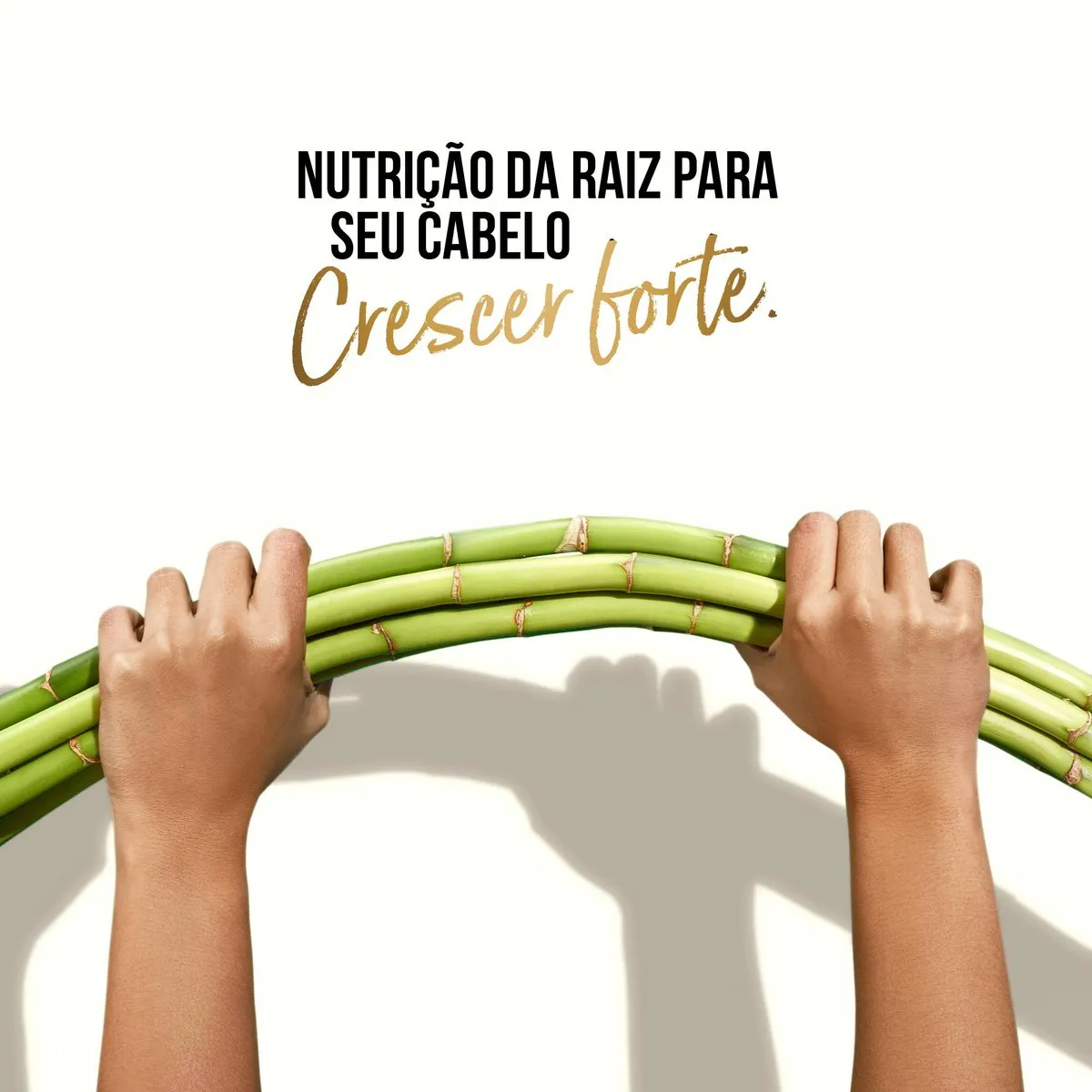 Shampoo Pantene Pro-V Bambu Nutre & Cresce 200ml — foto 7